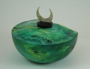 green-hf-leylandii-2